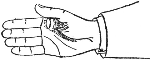 Fig. 25. Thimble Palmed.