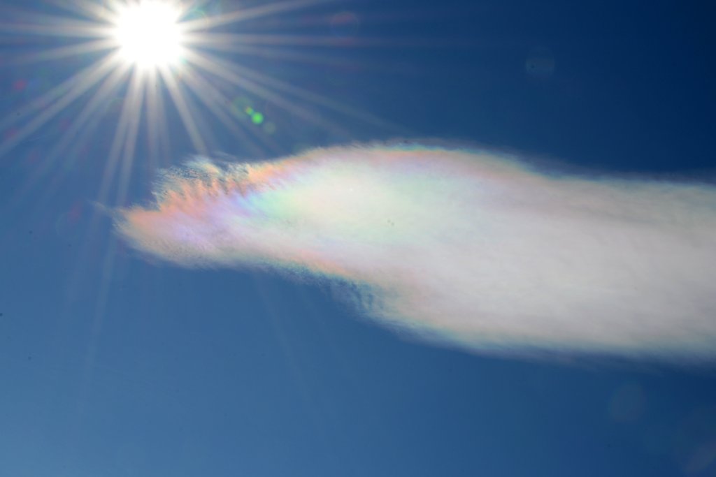 ANTarctica 2013 gallery image L233.jpg