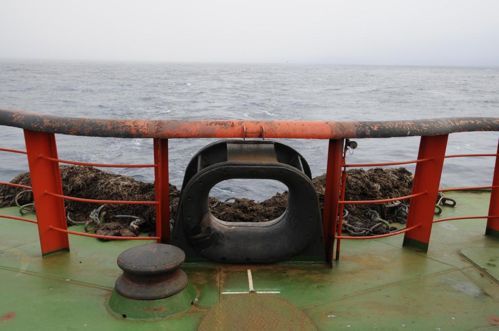 Eclipse 2008 gallery image L054.jpg