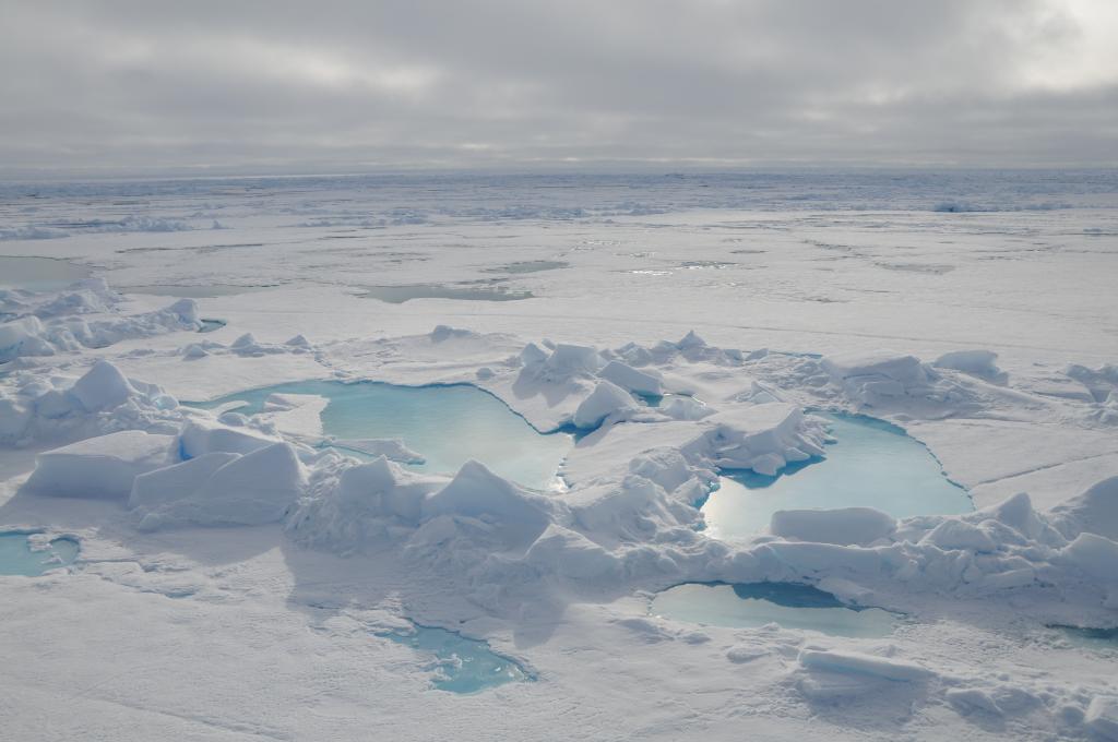 Eclipse 2008 gallery image L179.jpg