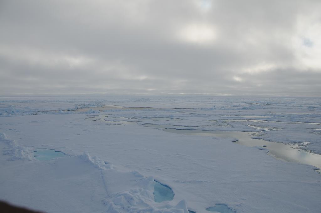 Eclipse 2008 gallery image L183.jpg