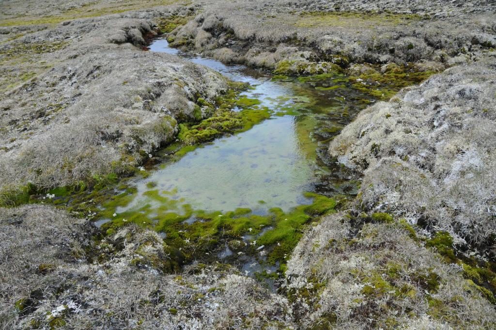 Eclipse 2008 gallery image L296.jpg