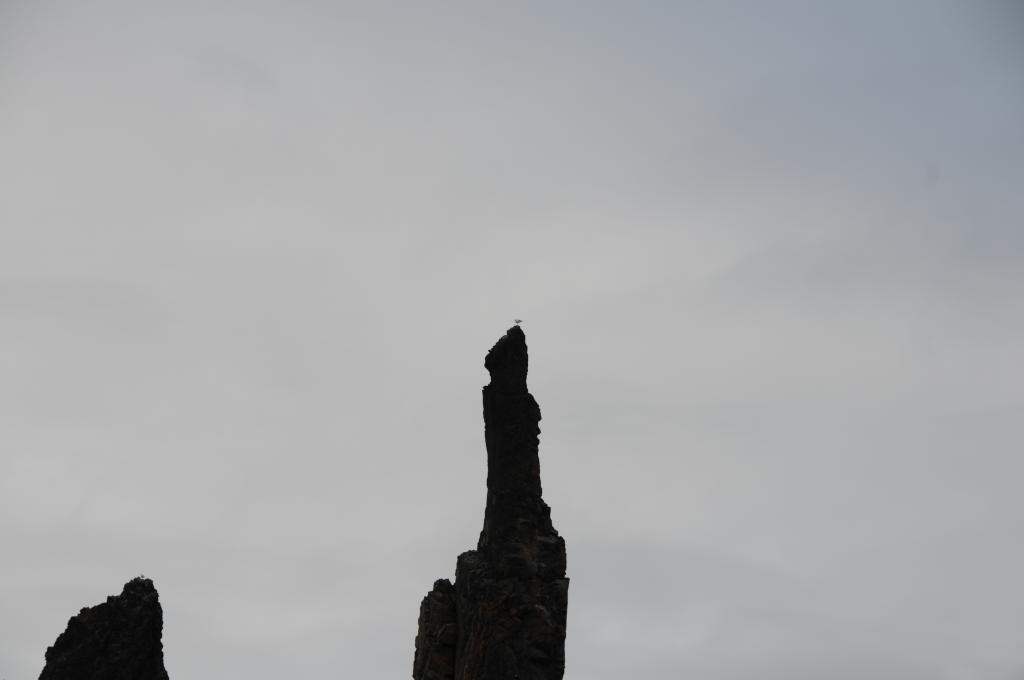 Eclipse 2008 gallery image L303.jpg