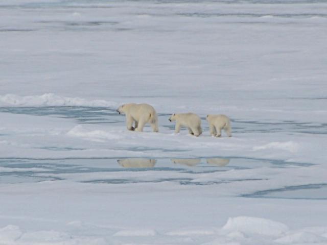 Eclipse 2008 gallery image S102.jpg