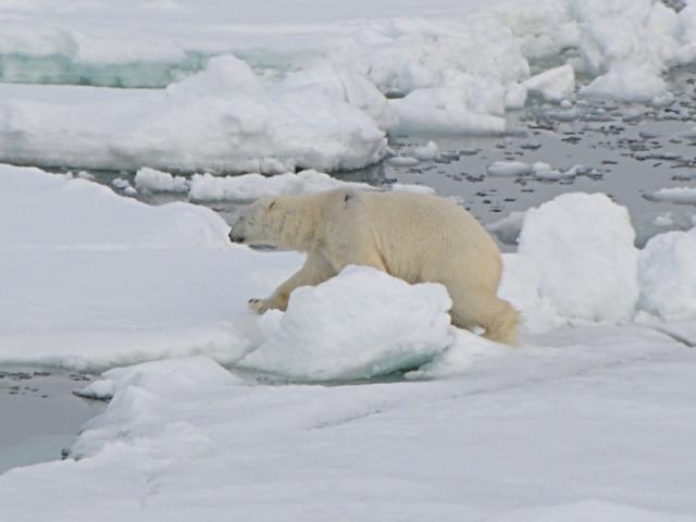 Eclipse 2008 gallery image S107.jpg