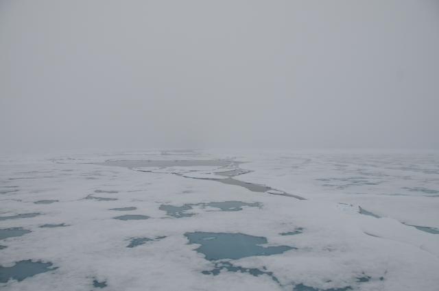 Eclipse 2008 gallery image S132.jpg