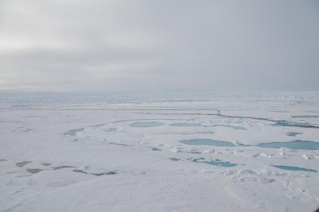 Eclipse 2008 gallery image S171.jpg