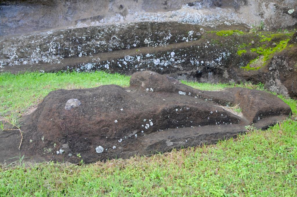 Eclipse 2010 gallery image L105.jpg