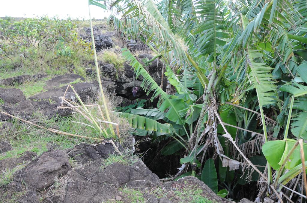 Eclipse 2010 gallery image L197.jpg