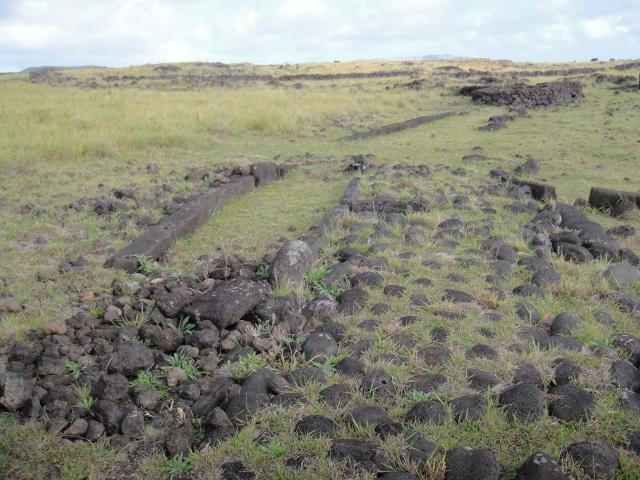 Eclipse 2010 gallery image S026.jpg