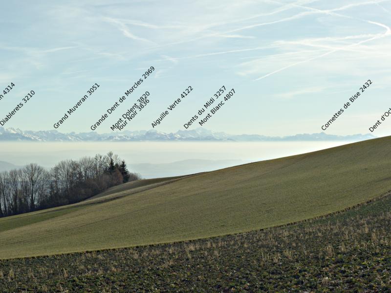 Ligni&egrave;res and the Alps: Panel 5 of 6