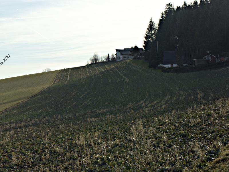 Ligni&egrave;res and the Alps: Panel 6 of 6